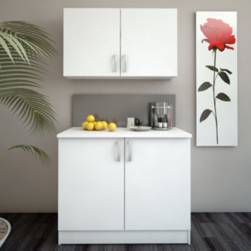 Kitchen sink housing (#2871)