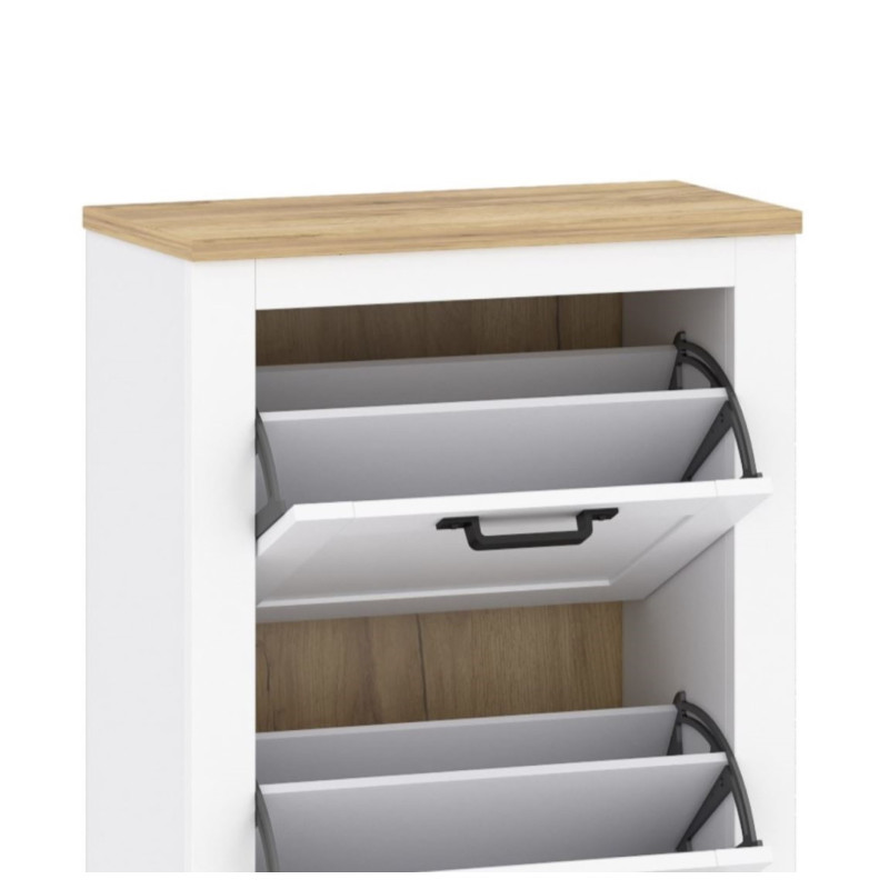Large shoe cabinet (#3491)