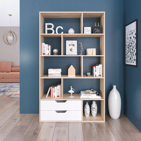 Cube cabinet with two drawers and asymmetrical shelves (#3524)