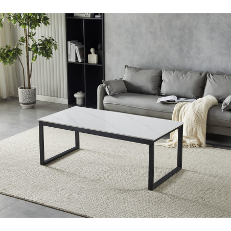 Coffee Table (#3544)