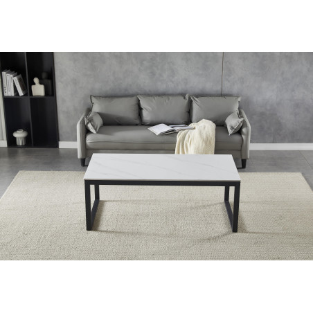 Coffee Table (#3544)