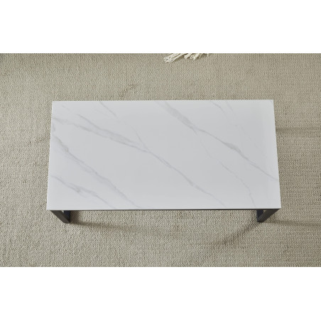 Coffee Table (#3544)