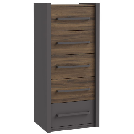 Tall chest of drawers with five drawers (#3577)