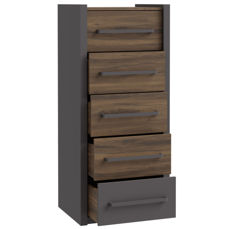 Tall chest of drawers with five drawers (#3577)