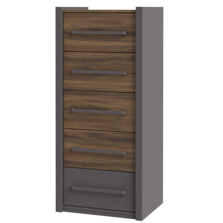 Tall chest of drawers with five drawers (#3577)