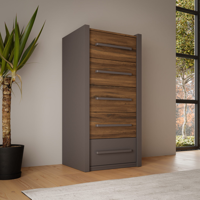 Tall chest of drawers with five drawers (#3577)