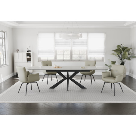 Comfortable dining chair (#3669)